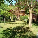 Du Moulin De Thoard