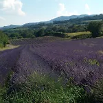 Du Moulin De 3* Thoard