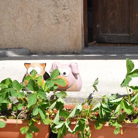 Du Moulin De Kamp alanı 3*