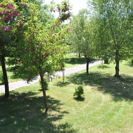 Camping Du Moulin De Thoard