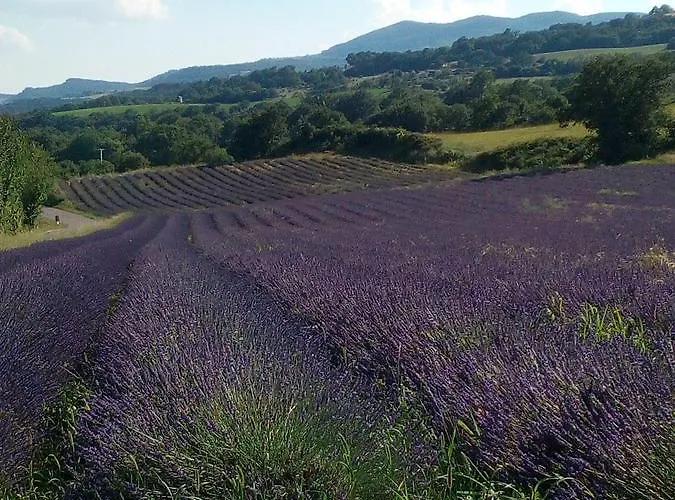 Du Moulin De 3* Thoard